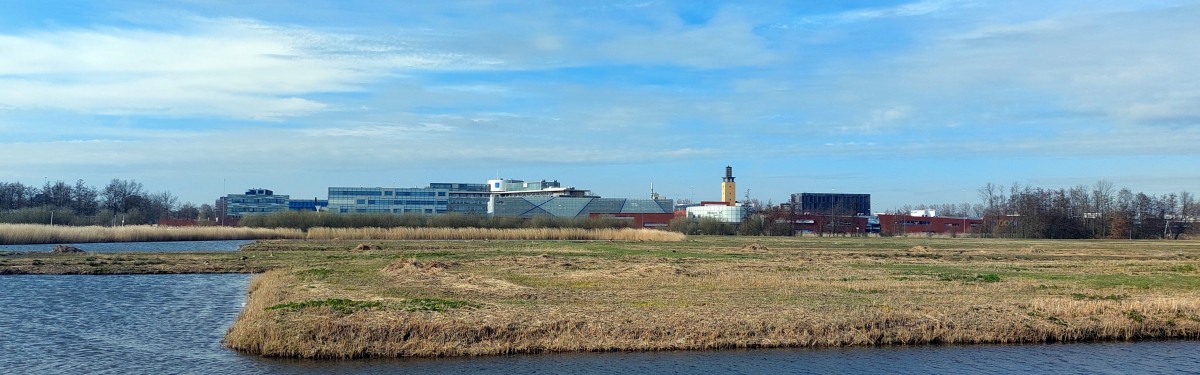 Munnikenpolder.jpg